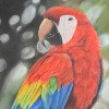 ryan8art's avatar