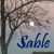 Sable3332141's avatar