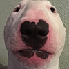 SadDog19's avatar