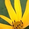 saffloweroil's avatar