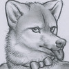 sagesprig's avatar