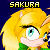 Sakura-Courage-Solo's avatar