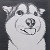 sakura07bears's avatar