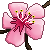 SakuraBlossom-3000's avatar