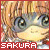 SakuraKinomoto01's avatar