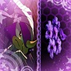 Sakurisma25's avatar