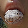 SalamanderArchive's avatar