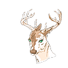 salikadeer's avatar