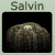 salvin18's avatar