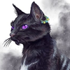 Samifirecat's avatar