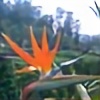 sandhya-selvaraju's avatar