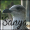 SanyaGooner's avatar