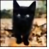 SarahKuroneko's avatar