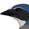 Sarcastic-Bird's avatar