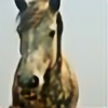 Satkinn's avatar