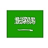 saudievisaonline's avatar