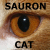 Sauron-cat's avatar
