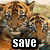save-the-tigers's avatar