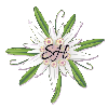 Scheron's avatar