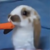 screamo-bunny's avatar