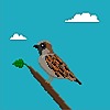 seabirdflavour's avatar