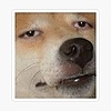 SealsMenagerie's avatar