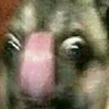SeaWafflez's avatar