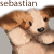 sebastardian's avatar