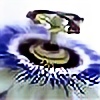 sedativeflower's avatar