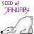seed-of-january's avatar