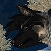 Seigadora's avatar