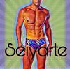 seiyarte's avatar
