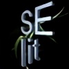 seLit's avatar