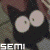 Semienigma's avatar