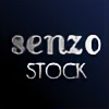 senzostock's avatar