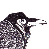 SeppUltura's avatar