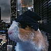 SergioG2007's avatar