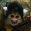 Serigala-photography's avatar