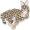 servals's avatar