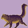 ShabbyTab's avatar