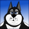 Shadow-Dodger-Husky's avatar