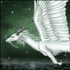 Shadow-Dragon-777's avatar