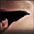Shadow-Flyer's avatar