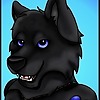 Shadow-Wolf-Dusty's avatar