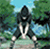 shadowarrancar's avatar