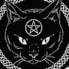 shadowcat1587's avatar