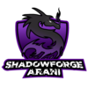 ShadowforgeArani's avatar