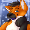 Shadowwolf177's avatar