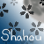 Shahou's avatar