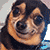 shakedogplz's avatar